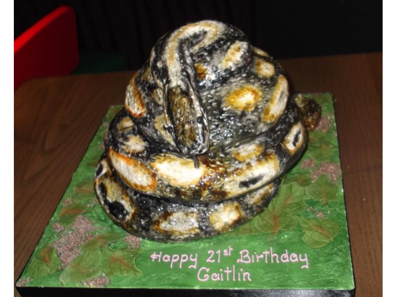 Snake Cake in chocolate sponge for Caitlin's 18th birthday in Burscough, copied from pictures of her pet snake