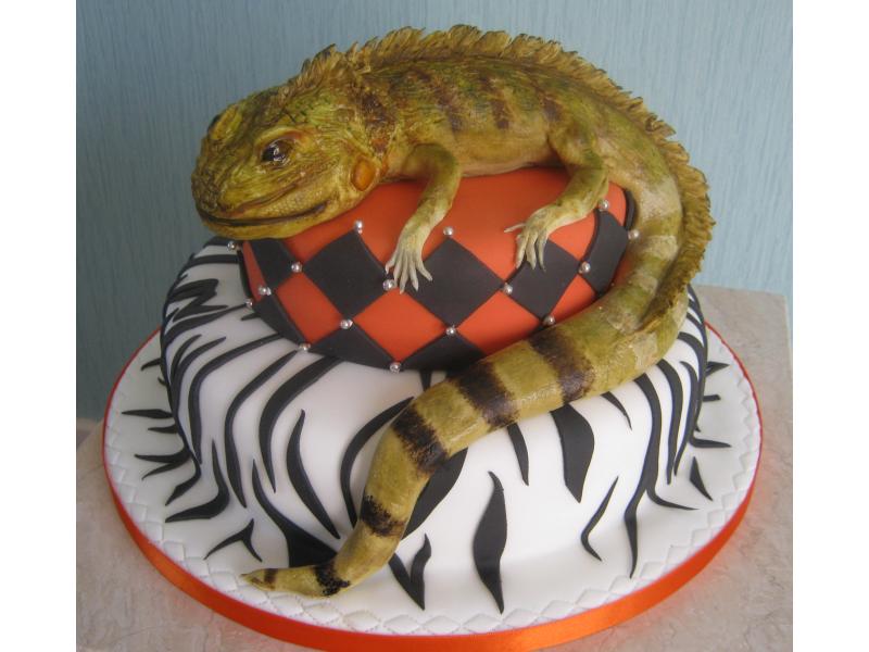 Bearded Dragon cake in chocolate sponge and plain sponge for Danielle's 21st birthday in Blackpool