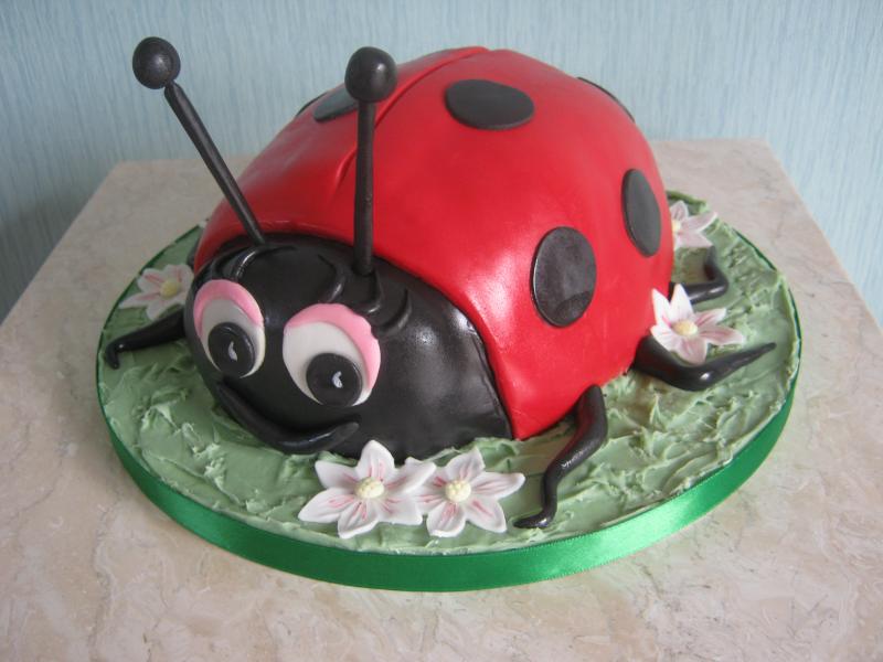 Ladybird enthusiast Claire in Blackpool from Madeira sponge
