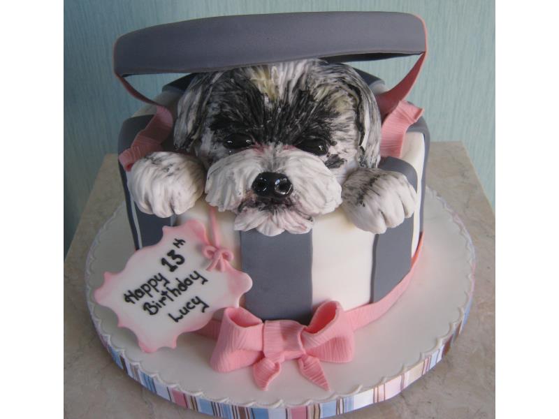 No animals harm in the making of this all edible vanilla sponge cake of Lucy's pet in Cleveleys