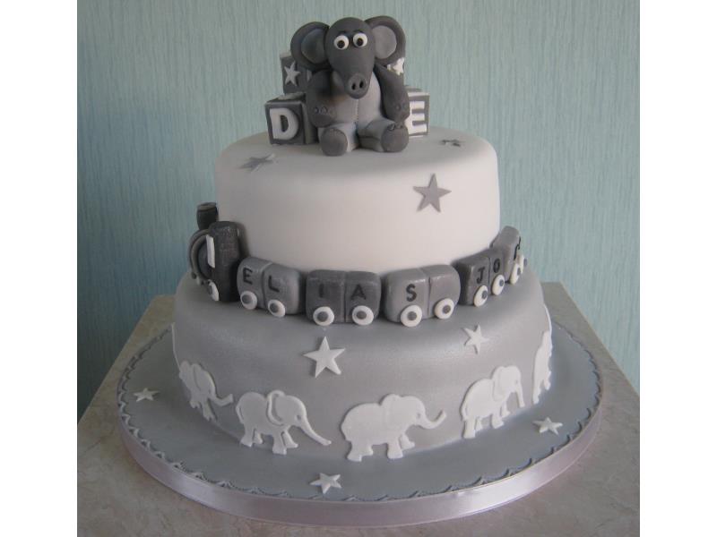Silver and white Christening Cake with elephants from Madeira and chocolate sponges for Elias in Norhwich
