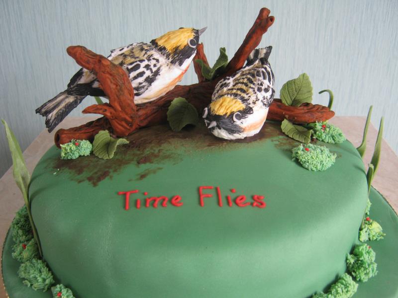 Chestnut sided Warblers for a bird lover on a her spcial birthday in Cleveleys made from chocolate sponge.
