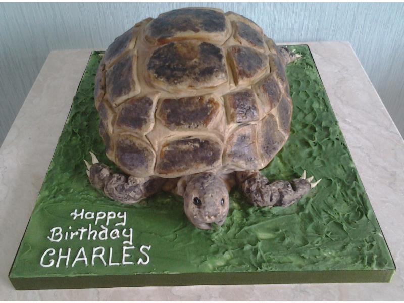 Timmy - tortoise cake in chocolate sponge as a surprise for Charles in Southport