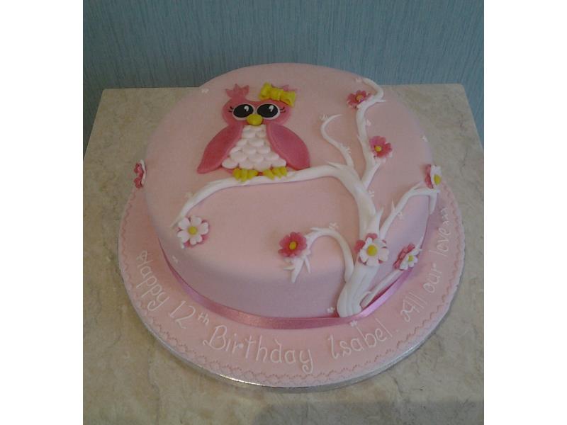 Owl on a Branch in pink for 12 year old Isabel in Thornton, made from chocolate sponge