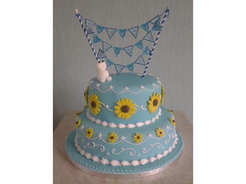 Frozen fever cake in lemon sponge and chocolate sponge for Sophia's birthday in Thornton