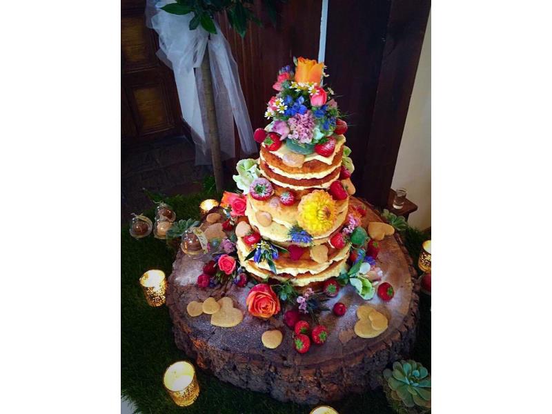 Nature themed wedding cake in sponge with handmade shortbread, fresh fruit and fresers with log for celebration at Great Hall of Mains